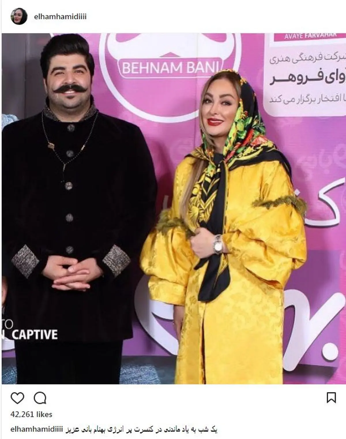 الهام حمیدی در کنسرت بهنام بانی/ عکس