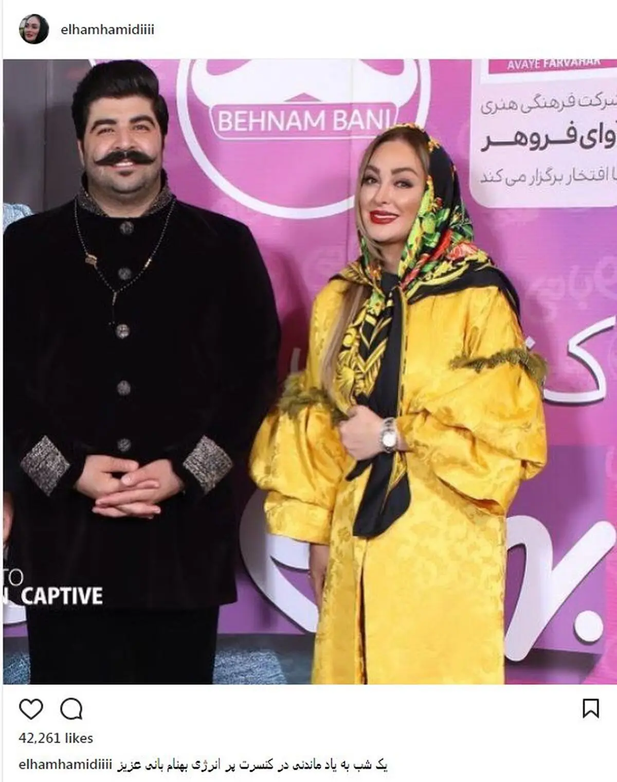 الهام حمیدی در کنسرت بهنام بانی/ عکس