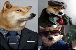 سگی که کارش مدلینگ است/عکس