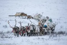 تصاویری جالب از زندگی یک قبیله خونخوار روسی