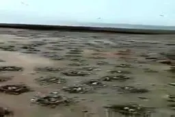 ببینید:حال خوب هورالعظیم بعد از باران‌های اخیر