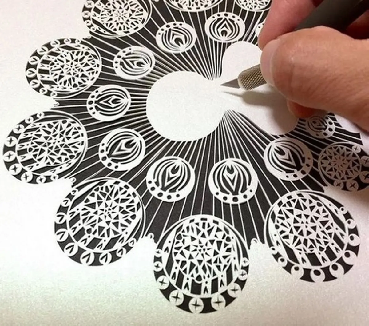 زیباترین و دیدنی ترین مدل های برش کاغذ / تصاویر