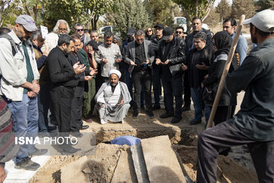 همایون ارشادی