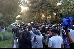 با پلتفرم‌ها برخورد نکنید باید منتظر حوادث کف خیابان باشید