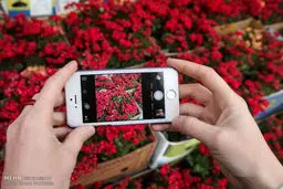 بازار گل وگیاه/تصاویر