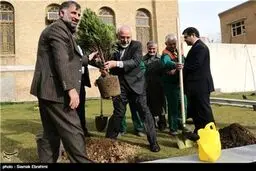 کاشت نهال توسط ظریف و افخم/تصاویر