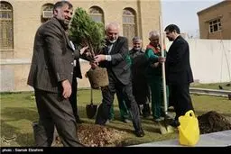 کاشت نهال توسط ظریف و افخم/تصاویر