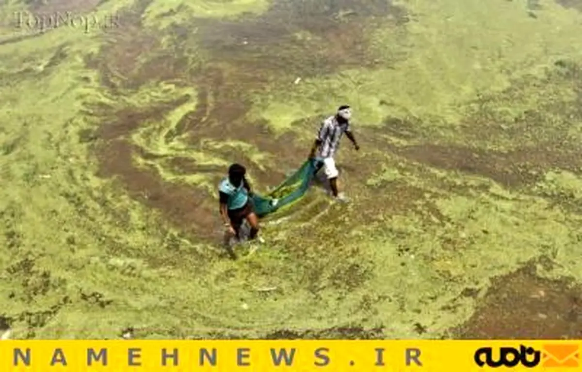 رودخانه جنازه و کثافت!+تصاویر