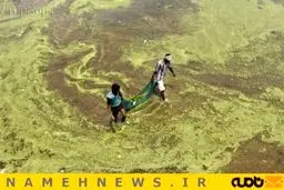 رودخانه جنازه و کثافت!+تصاویر