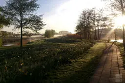 تصاویر برتر و خارق‌العاده که با دوربین موبایل گرفته شدند + عکس