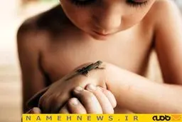 عکس روز نشنال جئوگرافیک/ عکس