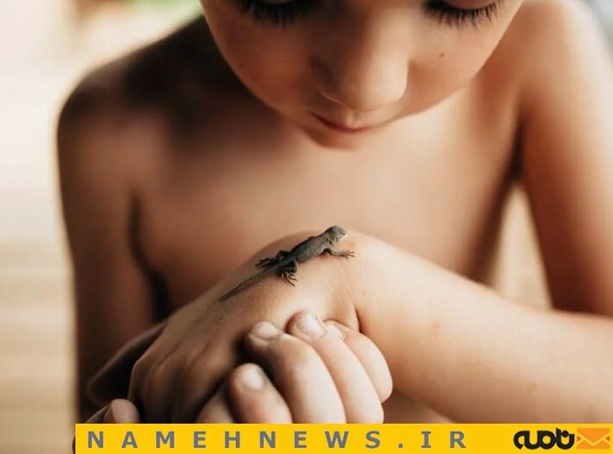 عکس روز نشنال جئوگرافیک/ عکس
