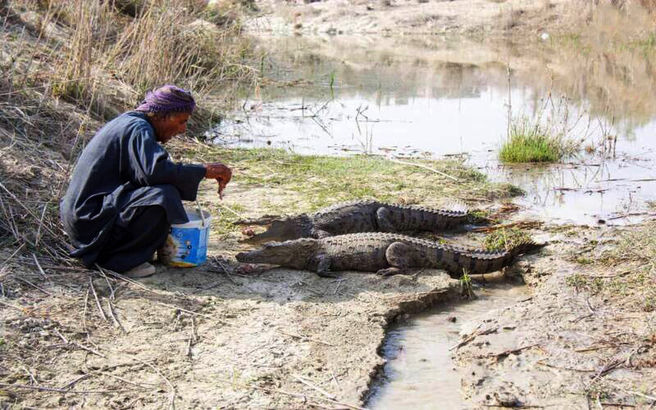 رفاقت مرد بلوچی با ۲۴ گاندو!