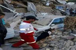 حضور سگ های زنده یاب در مناطق زلزله زده  برای یافتن مفقودین احتمالی/عکس