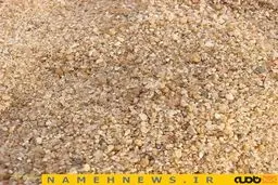 استتار عنکبوت / عکس