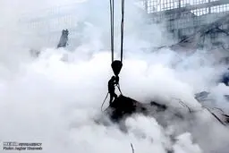 تصاویر برتر جهان در 24 ساعت گذشته