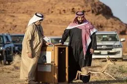 تامین غذای کفتار سعودی به یوز عربی!/ عکس