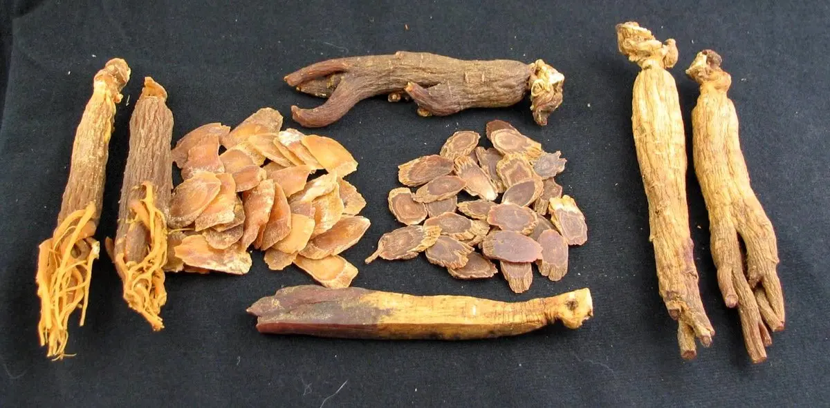 این دمنوش‌های گیاهی باعث تقویت میل جنسی می‌شوند