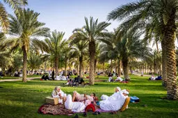 تصاويری از زندگی جديد به سبک عربستانی‌ها