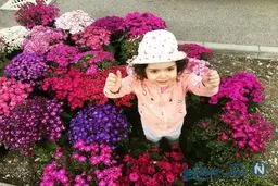 اینستاگرام: تصویر دختر آزاده نامداری