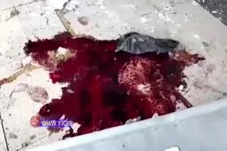 حقايقي درباره انفجار مهيب بيروت + ويدئو