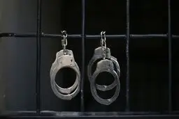 جزئیات بازگرداندن یکی از متهمان اقتصادی به کشور از یکی از کشور‌های حاشیه خلیج فارس