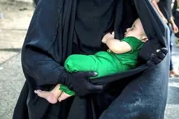 جلوه های زیبای پیاده روی عظیم اربعین حسینی ... / عکس