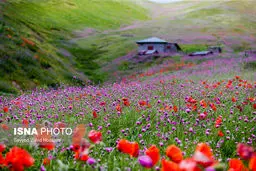 سمفونی رنگ‌ها در خلخال به اسالم/تصاویر