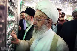 سفر آیت الله مکارم به شیراز/تصاویر