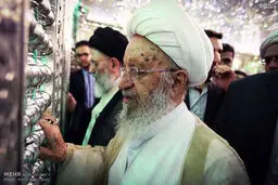 سفر آیت الله مکارم به شیراز/تصاویر