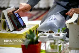 آموزش های مجازی دوران کرونا! + عکس