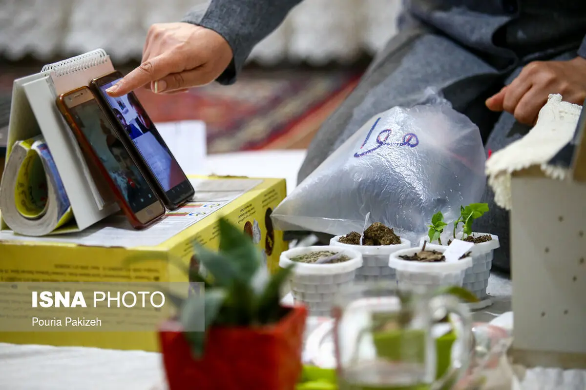 آموزش های مجازی دوران کرونا! + عکس