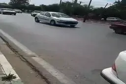 تصادف عجیب گاومیش با سمند در اهواز را ببینید