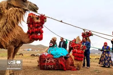 عشایر