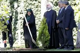 وقتی ابتکار بیل به دست می‌شود!/ عکس
