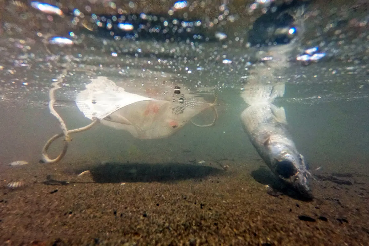 قتل ناخواسته با یک ماسک! + عکس