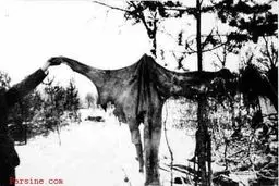 عکس:جنگ روانی عجیب فنلاندی ها با کندن پوست سربازان شوروی