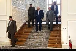 خداحافظی سفرای بلاروس و پاکستان با ظریف/ تصاویر