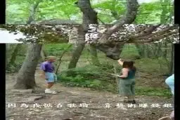 درختان عجیب و زیبایی که تابه‌حال ندیده‌اید! + ویدئو