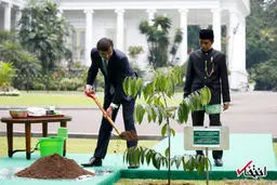 درخت‌کاری امیر قطر در اندونزی/تصاویر