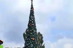 درخت کریسمس 12 متری در پایگاه هوایی روسها در لاذقیه + عکس