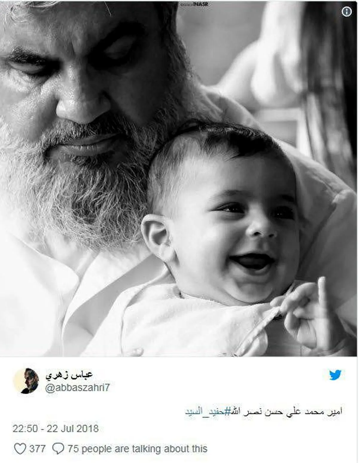عکسی از نوه سیدحسن نصرالله