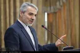 نشست خبری سخنگوی دولت به روایت تصاویر