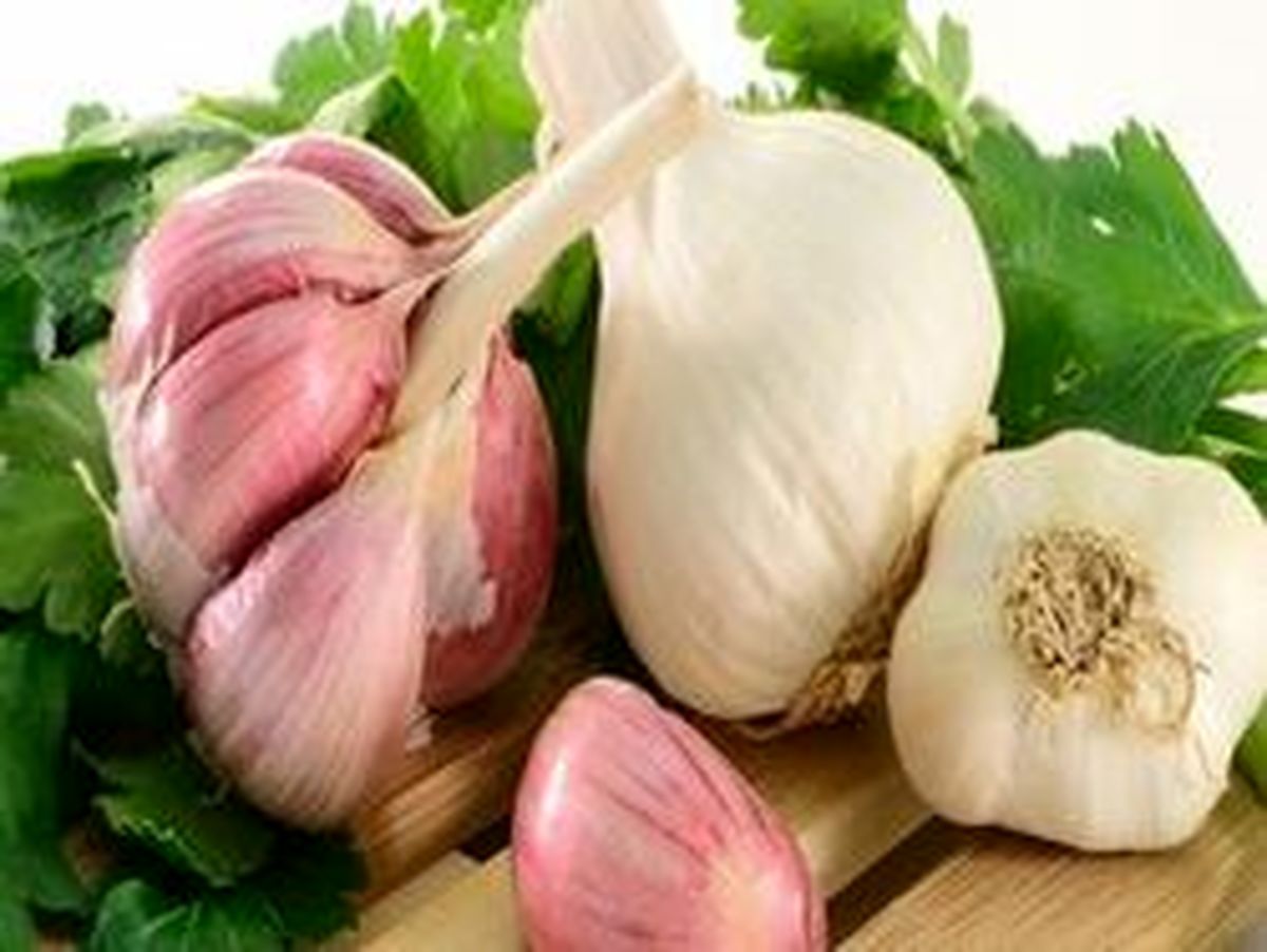 معجزه خوردن یک حبه سیر