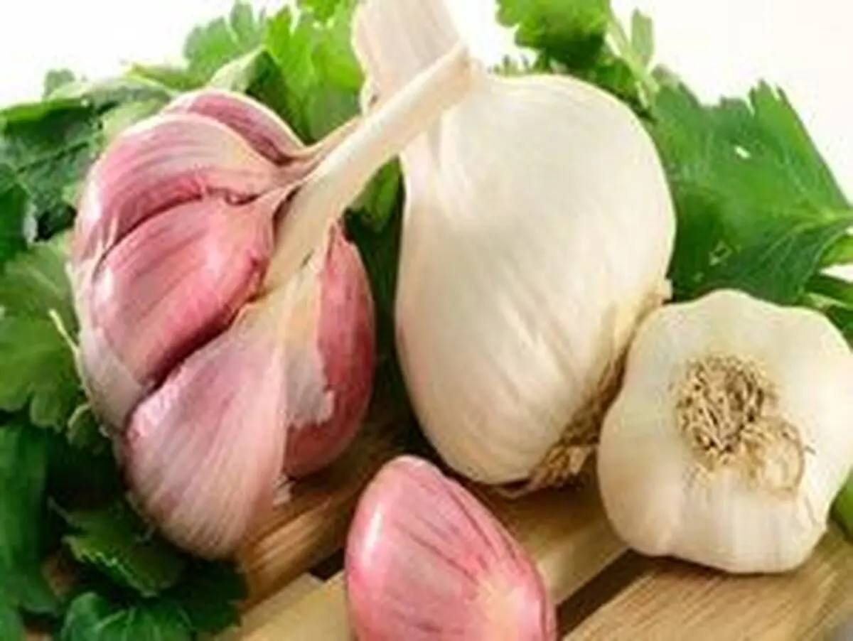 معجزه خوردن یک حبه سیر