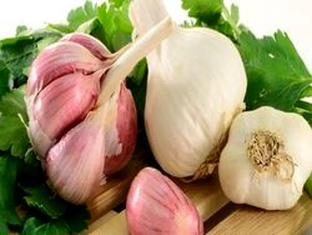 معجزه خوردن یک حبه سیر