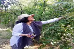 ساره بيات در حال ميوه چيني! + عكس