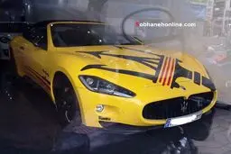 خودروی خاص! /عکس