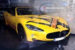 خودروی خاص! /عکس