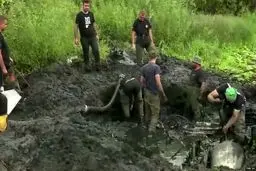 کشف لاشه هواپیمای جنگ جهانی دوم در لهستان+ تصاویر